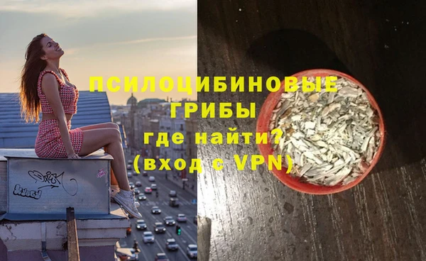 крисы Балахна