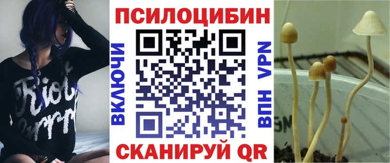 Галлюциногенные грибы мицелий это телеграм Ленинск